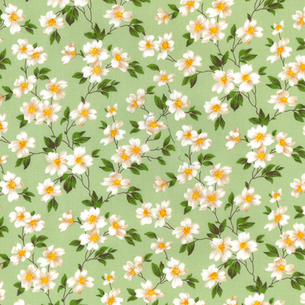 Green Daisy Floral Cotton Poplin Fabric