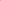 Red and Pink Leopard Print Cotton Fabric - Dashwood Studio