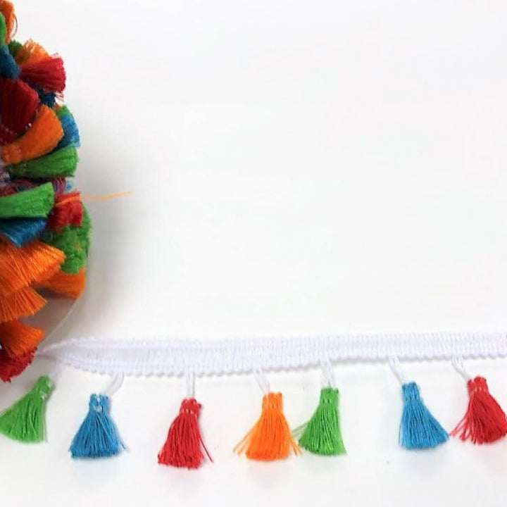 Assorted Tasseled Fringe Trim