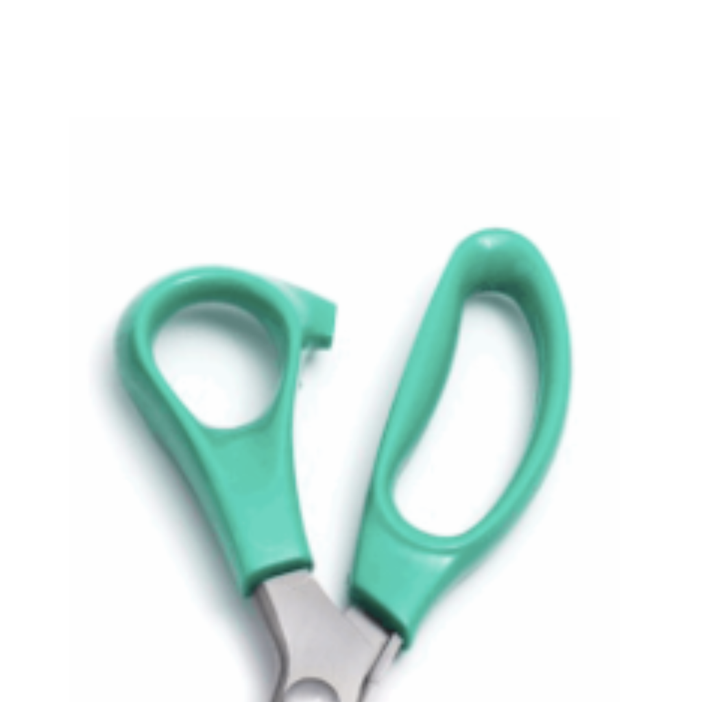 Teal Pinking Shears