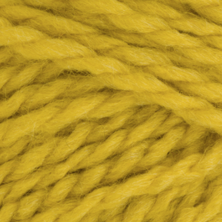 Zest Softie Chunky Yarn - Stylecraft Yarns